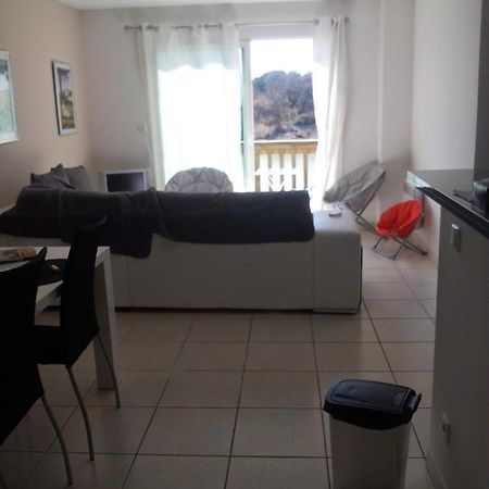 Chambre Grand Appartement Perpignan Bagian luar foto