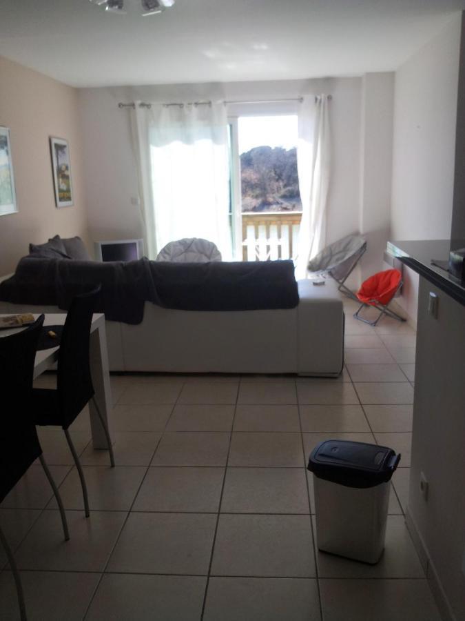 Chambre Grand Appartement Perpignan Bagian luar foto
